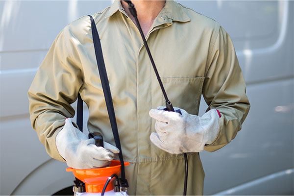 Residential Pest Control